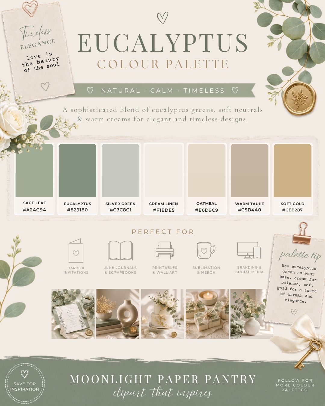 Eucalyptus Colour Palette