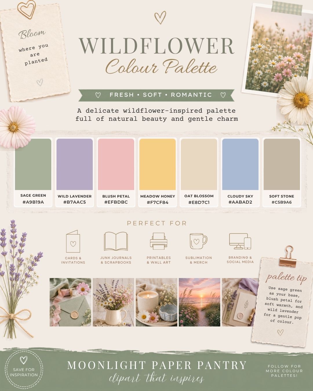 Wildflower Colour Palette